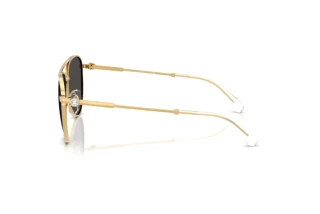 Widok z boku Swarovski SK7031 (400487)