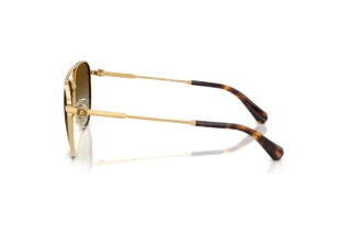 Widok z boku Swarovski SK7031 (4037T5)