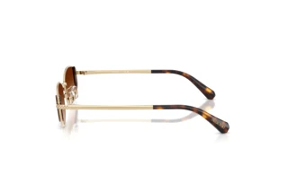 Widok z boku Swarovski SK7035D (401374)