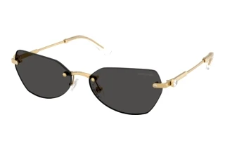 Widok z przodu Swarovski SK7038 (400487)