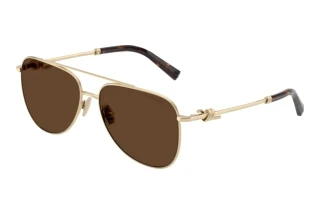 Widok z przodu Tiffany TF3116 (61933G)