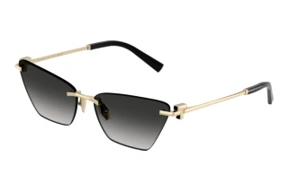 Widok z przodu Tiffany TF3120 (62413C)