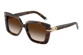 Widok z przodu Tiffany TF4199 (80153B)
