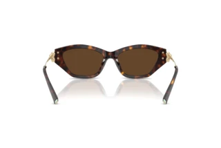 Widok z tyłu Tiffany TF4231U (80153G)