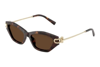Widok z przodu Tiffany TF4231U (80153G)