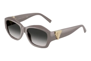 Widok z przodu Tiffany TF4233U (84013C)