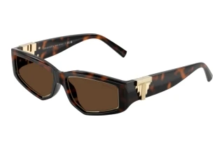 Widok z przodu Tiffany TF4234U (80153G)