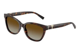 Widok z przodu Tiffany TF4237B (8015T5)