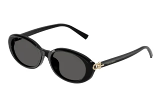 Widok z przodu Tiffany TF4242D (8361S4)