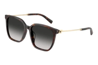 Widok z przodu Tiffany TF4244D (80153C)