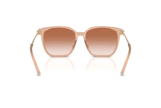 Widok z tyłu Tiffany TF4244D (826813)