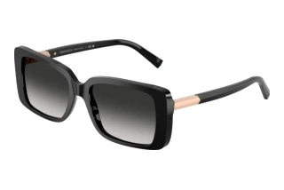 Widok z przodu Tiffany TF4249 (80013C)