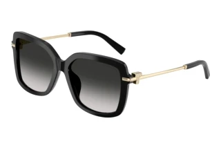 Widok z przodu Tiffany TF4252B (80013C)