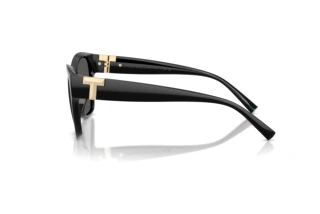Widok z boku Tiffany TF4254U (8001S4)