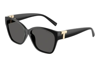 Widok z przodu Tiffany TF4254U (8001S4)