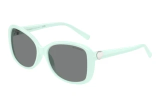 Widok z przodu Tiffany TF4257U (845087)