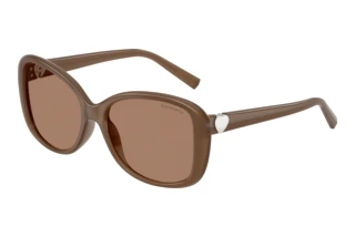 Widok z przodu Tiffany TF4257U (845973)