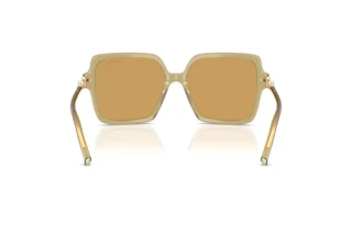 Widok z tyłu Tiffany TF4260U (846173)