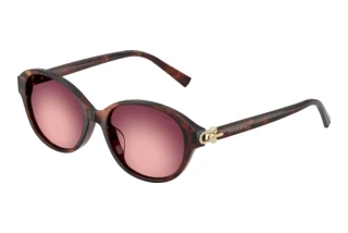 Widok z przodu Tiffany TF4263D (84218H)