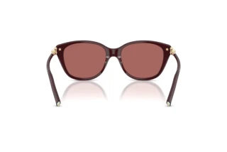 Widok z tyłu Tiffany TF4267 (847069)