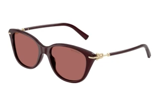 Widok z przodu Tiffany TF4267 (847069)