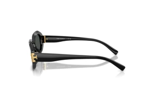 Widok z boku Tory Burch TY7234U (170987)