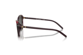 Widok z boku Tory Burch TY9074U (194887)