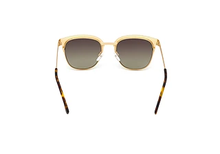 Widok z tyłu VOOY by edel-optics Meeting Sun (108-02)