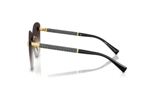 Widok z boku Versace VE2292B (10028G)