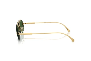 Widok z boku Versace VE2295 (100271)
