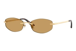 Widok z przodu Versace VE2308D (152373)