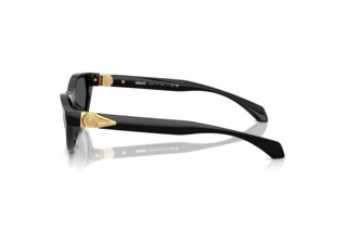 Widok z boku Versace VE4491U (GB1/87)