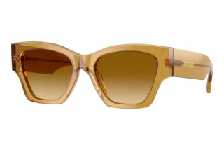 Widok z przodu Versace VE4492U (53472L)