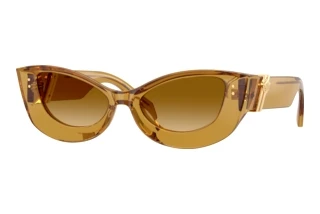 Widok z przodu Versace VE4520U (53472L)