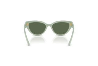 Widok z tyłu Vogue Eyewear VJ2026 (318371)