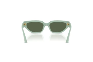 Widok z tyłu Vogue Eyewear VJ2029 (320571)
