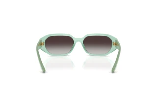 Widok z tyłu Vogue Eyewear VJ2034 (32748G)