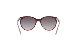 Widok z tyłu Vogue Eyewear VO5453S (292436)