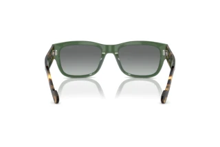 Widok z tyłu Vogue Eyewear VO5530S (309211)
