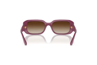 Widok z tyłu Vogue Eyewear VO5565S (312313)