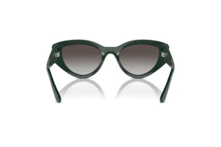 Widok z tyłu Vogue Eyewear VO5566S (31228G)
