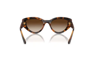 Widok z tyłu Vogue Eyewear VO5566S (W65613)
