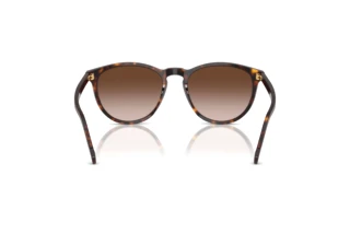 Widok z tyłu Vogue Eyewear VO5599S (W65613)
