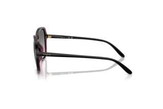 Widok z boku Vogue Eyewear VO5601S (298911)
