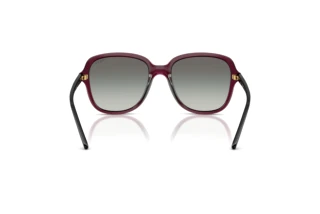 Widok z tyłu Vogue Eyewear VO5601S (298911)