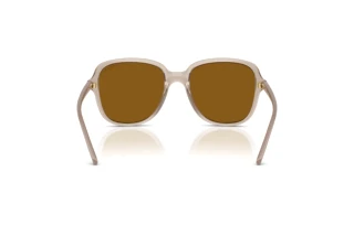 Widok z tyłu Vogue Eyewear VO5601S (299083)