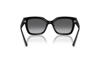 Widok z tyłu Vogue Eyewear VO5613SB (W44/T3)