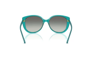 Widok z tyłu Vogue Eyewear VO5623S (319111)