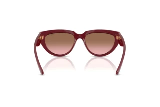 Widok z tyłu Vogue Eyewear VO5629S (304814)