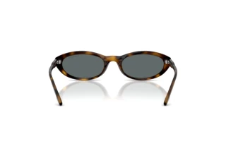 Widok z tyłu Vogue Eyewear VO5697SU (W65681)